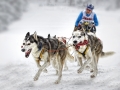 Ludwig Loch, Germany -Sledge dogs