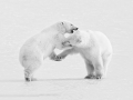 Phillip Kwan, Canada - Greeting